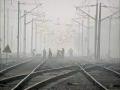 Thane: Land survey work for 28km Kalyan-Murbad rail line completed in 15 days - Hindi News | Thane: Land survey work for 28km Kalyan-Murbad rail line completed in 15 days | Latest maharashtra News at Lokmattimes.com