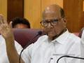 Sharad Pawar claims currently there is anti-BJP wave, people of country want's change - Hindi News | Sharad Pawar claims currently there is anti-BJP wave, people of country want's change | Latest maharashtra News at Lokmattimes.com