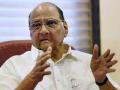 Opposition parties needs to be based on common minimum programme against BJP, says Sharad Pawar - Hindi News | Opposition parties needs to be based on common minimum programme against BJP, says Sharad Pawar | Latest maharashtra News at Lokmattimes.com