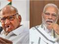 Sharad Pawar slams Modi govt over ongoing violence in Manipur - Hindi News | Sharad Pawar slams Modi govt over ongoing violence in Manipur | Latest maharashtra News at Lokmattimes.com