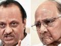Sharad Pawar denies split in NCP - Hindi News | Sharad Pawar denies split in NCP | Latest maharashtra News at Lokmattimes.com