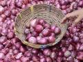 Smugglers Defy Export Ban by Shipping Onions Disguised as Grapes, Potatoes - Hindi News | Smugglers Defy Export Ban by Shipping Onions Disguised as Grapes, Potatoes | Latest national News at Lokmattimes.com