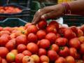 Pune: Farmer loses 400 kg of tomatoes to theft - Hindi News | Pune: Farmer loses 400 kg of tomatoes to theft | Latest maharashtra News at Lokmattimes.com