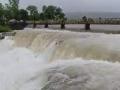Kolhapur: Man stranded on tree in flooded river rescued 12 hours after he falls from bridge - Hindi News | Kolhapur: Man stranded on tree in flooded river rescued 12 hours after he falls from bridge | Latest maharashtra News at Lokmattimes.com