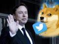 Twitter's blue bird logo replaced with doge meme - Hindi News | Twitter's blue bird logo replaced with doge meme | Latest technology News at Lokmattimes.com
