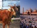 Mumbai: Ahead of Bakrid, thieves strike at Deonar goat market - Hindi News | Mumbai: Ahead of Bakrid, thieves strike at Deonar goat market | Latest maharashtra News at Lokmattimes.com