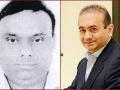 Nirav Modi’s close aide Subhash Shankar Parab sent to CBI custody till April 26 - Hindi News | Nirav Modi’s close aide Subhash Shankar Parab sent to CBI custody till April 26 | Latest national News at Lokmattimes.com