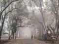 Nashik Weather Update: Winter Chill Sets In As Temperature Drops to 12.4°C - Hindi News | Nashik Weather Update: Winter Chill Sets In As Temperature Drops to 12.4°C | Latest nashik News at Lokmattimes.com