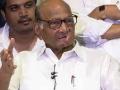 I am the president of NCP, says Sharad Pawar after National Executive meeting - Hindi News | I am the president of NCP, says Sharad Pawar after National Executive meeting | Latest maharashtra News at Lokmattimes.com