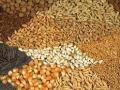 Navi Mumbai: 2 booked for unlawfully stocking food grains meant for public distribution - Hindi News | Navi Mumbai: 2 booked for unlawfully stocking food grains meant for public distribution | Latest maharashtra News at Lokmattimes.com