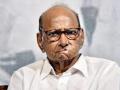 Those who are using my photo know they have nothing else: Sharad Pawar - Hindi News | Those who are using my photo know they have nothing else: Sharad Pawar | Latest maharashtra News at Lokmattimes.com