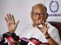 Sharad Pawar says people who betrayed my ideology have no right to use my photograph - Hindi News | Sharad Pawar says people who betrayed my ideology have no right to use my photograph | Latest maharashtra News at Lokmattimes.com