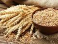 Centre eases restriction on wheat exports, allows consignments registered by May 13 to go through - Hindi News | Centre eases restriction on wheat exports, allows consignments registered by May 13 to go through | Latest national News at Lokmattimes.com