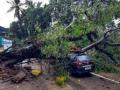 Mumbai rains: 1 killed, 1 injured after tree falls on hut - Hindi News | Mumbai rains: 1 killed, 1 injured after tree falls on hut | Latest maharashtra News at Lokmattimes.com