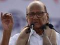 Sharad Pawar taking legal opinion to tackle crisis in NCP: Report - Hindi News | Sharad Pawar taking legal opinion to tackle crisis in NCP: Report | Latest maharashtra News at Lokmattimes.com