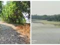 Navi Mumbai’s DPS Flamingo Lake Faces Threat from Road Construction, Water Flow Obstruction - Hindi News | Navi Mumbai’s DPS Flamingo Lake Faces Threat from Road Construction, Water Flow Obstruction | Latest navi-mumbai News at Lokmattimes.com