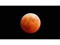Lunar Eclipse 2020: Check out the Indian timing - Hindi News | Lunar Eclipse 2020: Check out the Indian timing | Latest national News at Lokmattimes.com