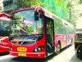 TMT announces major cuts in fares of AC buses - Hindi News | TMT announces major cuts in fares of AC buses | Latest maharashtra News at Lokmattimes.com