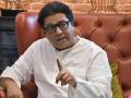 Raj Thackeray urges MNS members to work for party's win in civic polls - Hindi News | Raj Thackeray urges MNS members to work for party's win in civic polls | Latest maharashtra News at Lokmattimes.com