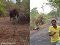 Elephant Attack In Gadchiroli: Wild Jumbo Charges at Passerby In Porla; Man Abandons Bike To Escape (Watch Video) - Hindi News | Elephant Attack In Gadchiroli: Wild Jumbo Charges at Passerby In Porla; Man Abandons Bike To Escape (Watch Video) | Latest maharashtra News at Lokmattimes.com