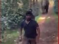 Elephant Attack in Karnataka: Forest Department Workers Narrowly Escape Death; Shocking Video Surfaces - Hindi News | Elephant Attack in Karnataka: Forest Department Workers Narrowly Escape Death; Shocking Video Surfaces | Latest national News at Lokmattimes.com