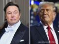 'I Regret Some of My Posts': Elon Musk Issues Grovelling Apology to Donald Trump - Hindi News | 'I Regret Some of My Posts': Elon Musk Issues Grovelling Apology to Donald Trump | Latest international News at Lokmattimes.com
