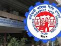 EPFO Retains 8.25% Interest Rate On Employees Provident Fund for 2024-25 - Hindi News | EPFO Retains 8.25% Interest Rate On Employees Provident Fund for 2024-25 | Latest national News at Lokmattimes.com