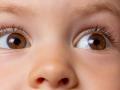 How Can Parents Naturally Improve Their Child’s Eye Vision at Home? - Hindi News | How Can Parents Naturally Improve Their Child’s Eye Vision at Home? | Latest health News at Lokmattimes.com