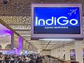 "This is IdiotGo Not IndiGo ,” Say Furious Flyers as Airlines Cancels Over 500 Flights Across India Today - Hindi News | "This is IdiotGo Not IndiGo ,” Say Furious Flyers as Airlines Cancels Over 500 Flights Across India Today | Latest national News at Lokmattimes.com