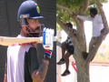 Fans Climb Trees To Watch Virat Kohli’s Net Session in Perth Ahead of BGT 2024–25 AUS vs IND Test Series (Watch Video) - Hindi News | Fans Climb Trees To Watch Virat Kohli’s Net Session in Perth Ahead of BGT 2024–25 AUS vs IND Test Series (Watch Video) | Latest cricket News at Lokmattimes.com
