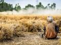 73 farmers commit suicide in Maharashtra's Chandrapur in last 7 months - Hindi News | 73 farmers commit suicide in Maharashtra's Chandrapur in last 7 months | Latest maharashtra News at Lokmattimes.com