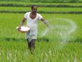 Fertilizer rates to increase in India due to Russia-Ukraine war - Hindi News | Fertilizer rates to increase in India due to Russia-Ukraine war | Latest national News at Lokmattimes.com