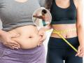 Fitness Tips: Simple Body Twist Exercises to Reduce Belly and Waist Fat After Childbirth - Hindi News | Fitness Tips: Simple Body Twist Exercises to Reduce Belly and Waist Fat After Childbirth | Latest lifestyle News at Lokmattimes.com