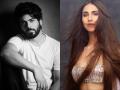 Pakistani Actor Fawad Khan and Vaani Kapoor Set to Star in Romantic Comedy, Shooting Begins Soon: Reports - Hindi News | Pakistani Actor Fawad Khan and Vaani Kapoor Set to Star in Romantic Comedy, Shooting Begins Soon: Reports | Latest entertainment News at Lokmattimes.com