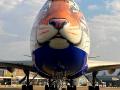 Special customised tiger-faced plane lands in Namibia to bring cheetahs to India - Hindi News | Special customised tiger-faced plane lands in Namibia to bring cheetahs to India | Latest national News at Lokmattimes.com