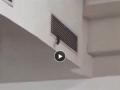 Amity University Shock: Snake Disrupts Lecture, Sparks Panic in Noida Classroom (Watch Video) - Hindi News | Amity University Shock: Snake Disrupts Lecture, Sparks Panic in Noida Classroom (Watch Video) | Latest social-viral News at Lokmattimes.com
