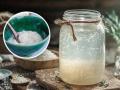 Why Fermented Rice Is a Superfood? Know Its Benefits, Nutrition Value, and How to Make It - Hindi News | Why Fermented Rice Is a Superfood? Know Its Benefits, Nutrition Value, and How to Make It | Latest health News at Lokmattimes.com