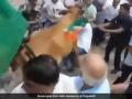 Former Gujarat Deputy CM Nitin Patel attacked by cows during 'Har Ghar Tiranga' rally - Hindi News | Former Gujarat Deputy CM Nitin Patel attacked by cows during 'Har Ghar Tiranga' rally | Latest national News at Lokmattimes.com