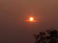 First Sunrise of 2025: Videos of Rising Sun From Different Cities of India Go Viral - Hindi News | First Sunrise of 2025: Videos of Rising Sun From Different Cities of India Go Viral | Latest national News at Lokmattimes.com