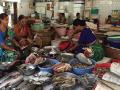 Mumbai to Get Eco-Friendly International Fish Market with Cultural Hub - Hindi News | Mumbai to Get Eco-Friendly International Fish Market with Cultural Hub | Latest mumbai News at Lokmattimes.com