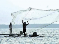 Raigad: Traditional fishing in trouble due to LED - Hindi News | Raigad: Traditional fishing in trouble due to LED | Latest maharashtra News at Lokmattimes.com