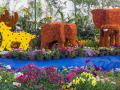 Mumbai Flower Festival 2025: 5,000 Plants to Feature in Three-Day Event from January 31 - Hindi News | Mumbai Flower Festival 2025: 5,000 Plants to Feature in Three-Day Event from January 31 | Latest mumbai News at Lokmattimes.com