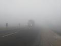 Widespread Fog Impairs Visibility Across Punjab and Haryana - Hindi News | Widespread Fog Impairs Visibility Across Punjab and Haryana | Latest national News at Lokmattimes.com