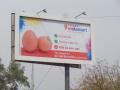 Swiggy removes 'egg advertisement' billboard after public outrage - Hindi News | Swiggy removes 'egg advertisement' billboard after public outrage | Latest national News at Lokmattimes.com