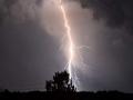 Gadchiroli: Lightning kills family of four seeking shelter under tree - Hindi News | Gadchiroli: Lightning kills family of four seeking shelter under tree | Latest maharashtra News at Lokmattimes.com