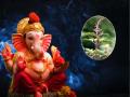 Ganesh Chaturthi 2024: Why Bappa Prefers Basil Over Durva on Bhadrapada Chaturthi - Hindi News | Ganesh Chaturthi 2024: Why Bappa Prefers Basil Over Durva on Bhadrapada Chaturthi | Latest lifestyle News at Lokmattimes.com