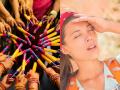 Navratri Special: How to Avoid Fatigue, Dizziness and Injuries While Playing Garba - Hindi News | Navratri Special: How to Avoid Fatigue, Dizziness and Injuries While Playing Garba | Latest lifestyle News at Lokmattimes.com