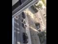 Germany Shooting: Heavy Gunfire Reported Outside Israeli Consulate in Munich, Video Surfaces - Hindi News | Germany Shooting: Heavy Gunfire Reported Outside Israeli Consulate in Munich, Video Surfaces | Latest international News at Lokmattimes.com