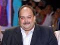 Mehul Choksi Owes Rs 63 Lakh in Society Dues As 65-Year Old's Mumbai Flat Lies Neglected for 7 Years - Hindi News | Mehul Choksi Owes Rs 63 Lakh in Society Dues As 65-Year Old's Mumbai Flat Lies Neglected for 7 Years | Latest mumbai News at Lokmattimes.com
