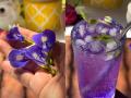 Gokarna Mocktail Recipe: Try This Refreshing Butterfly Pea Summer Drink at Home - Hindi News | Gokarna Mocktail Recipe: Try This Refreshing Butterfly Pea Summer Drink at Home | Latest lifestyle News at Lokmattimes.com